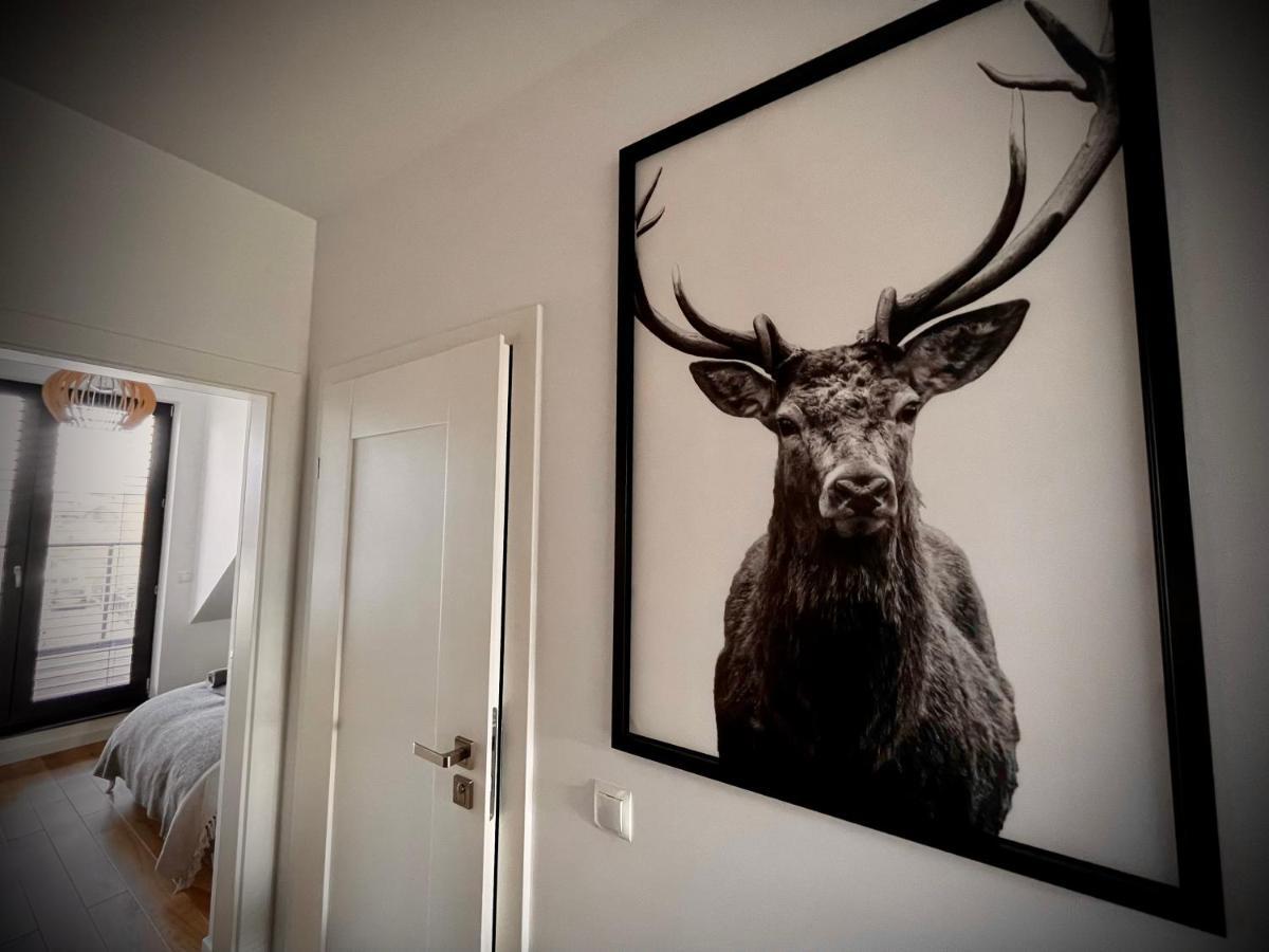 Lazy Deer - Apartamenty Jelenia Góra Esterno foto