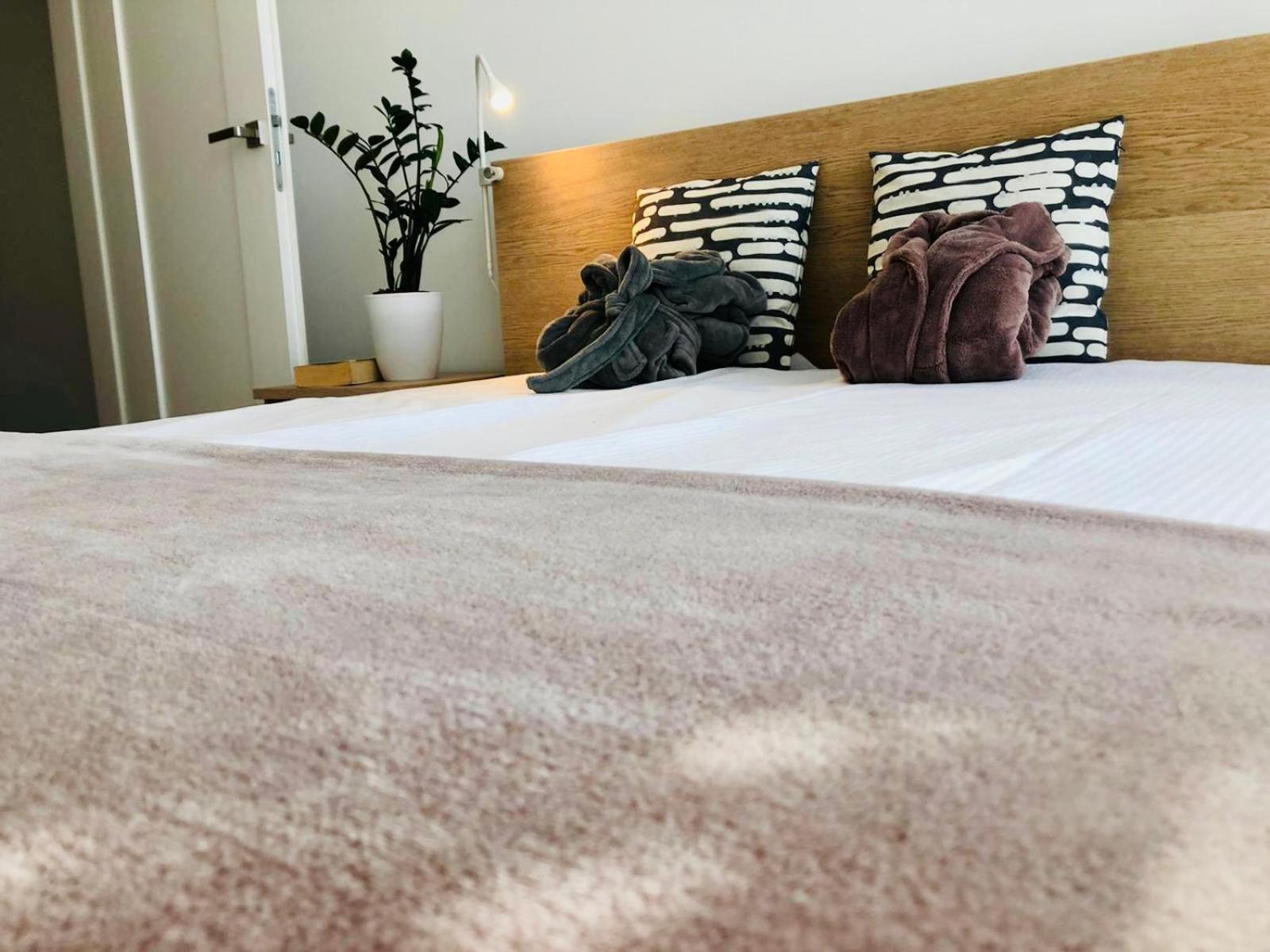 Lazy Deer - Apartamenty Jelenia Góra Esterno foto